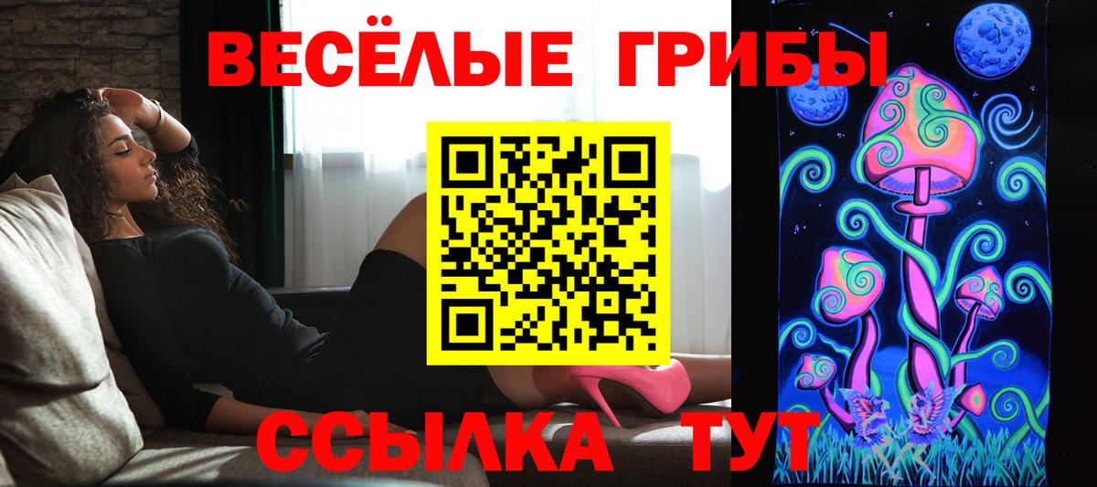 Домодедово  где купить наркотик  Вход с VPN  Псилоцибиновые грибы мухоморы 